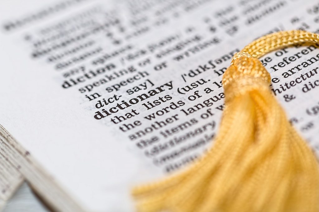 dictionary entry of the word dictionary